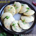 veg_idli