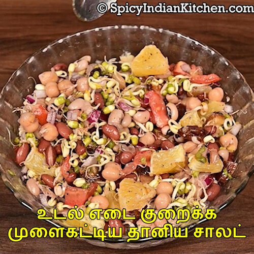 Read more about the article Sprouted Green Gram Salad in Tamil | முளைக்கட்டிய பச்சை பயிறு சாலட் | Mulaikattiya Pachaipayaru Salad